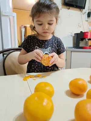 Лисичка с мандаринками» — создано в Шедевруме