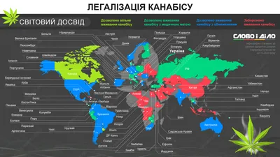 МАРИХУАНА: ПОГОВОРИМ ОТКРЫТО (интервью с А. Бенджамином) | Benjamin Eye  Institute