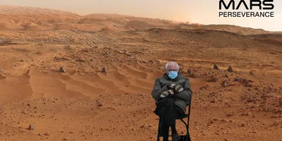 НАСА предложило всем желающим сфотографироваться на Марсе. Показываем  первые снимки с котиками - Афиша Daily