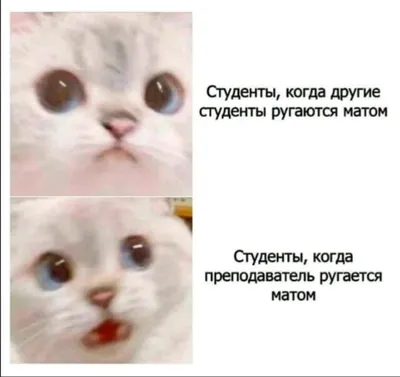 Это сумасшествие даже матами не описать". Айжан Байзакова откровенно  рассказала о родах