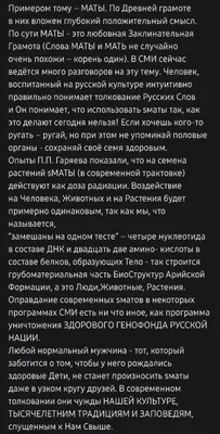 ПРОСТО СЛОВА»? Почему нельзя ругаться матом? И какая здесь связь с родной  матерью? | Духовный Маяк | Дзен