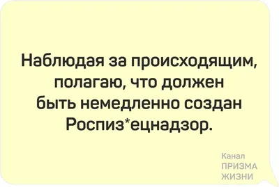 Подарочный набор с приколом для мужчин и женщин "Санкции XL". Корпоративные  подарки. - купить с доставкой по выгодным ценам в интернет-магазине OZON  (577097415)