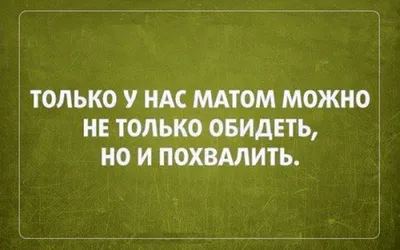 Приколы про русский мат – оружие массового поражения. Выпуск #58 |  ХОХОТУНЬЯ :) | Дзен