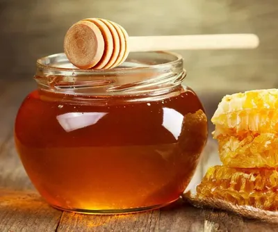 В Южной Америке обнаружили пчел-мясоедов. Они делают мед из мертвой плоти