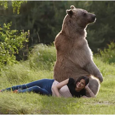 С медведем картинки