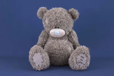 Медвежонок Тедди | Мудрый Kka | Дзен