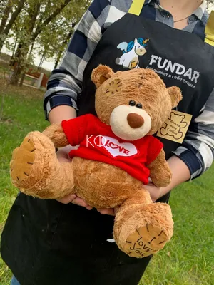 Флизелиновые фотообои с сердцем Медвежонок Тедди для малышки Cвободные  объятия (12802V)+клей купить по цене 200,00 грн