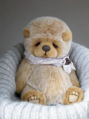 Teddy bear. Мишка. PNG. | Медвежонок, Медвежата, Шаблоны открыток