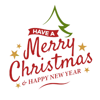 Merry christmas and happy new year 2024 greeting Vector Image