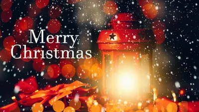 Merry Christmas 2023: Top Wishes, Quotes And Messages To Share With Your  Loved Ones