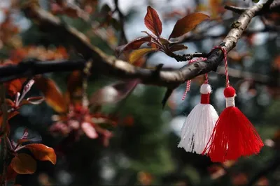 Мэрцишор в технике макраме. Brooch for the holiday of the first day of  spring. Difficulty ** - YouTube