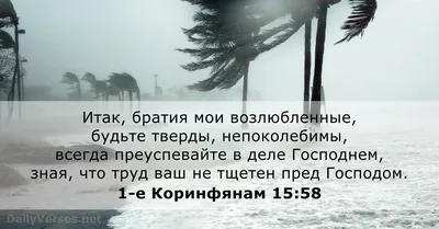 Слово Божие (цитаты из Библии) | Блог Окорокова Вячеслава (Rutube - канал  "Балбес") | Дзен