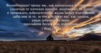 На границе США у мигрантов отнимают детей. Чиновники оправдывают это  цитатами из Библии, Мелания Трамп протестует — Meduza