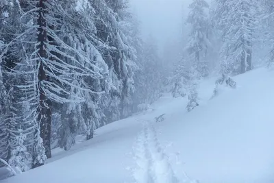 Сильный снег с метелью ожидается на дорогах ЮКО — Новости Шымкента