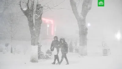 Рекорд за 145 лет: Москву накрыл мощный снегопад с метелью