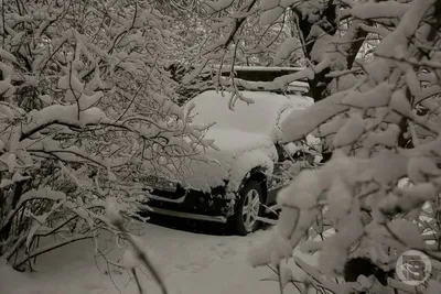 ❄Вечер, кот, фонарь, метель... …» — создано в Шедевруме