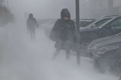 На Брянскую область обрушатся снегопады с метелью и дождём | АиФ-Брянск |  Дзен