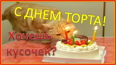 I CAKE YOU Международный день торта (20 июля) , портал Мозыря.