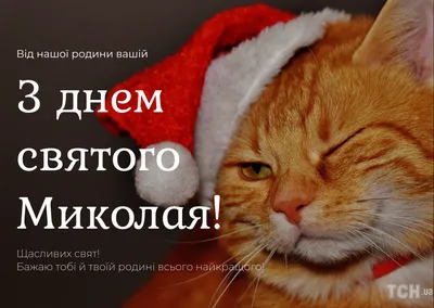 Картинки з Миколаєм 2023 – вітальні листівки і відкритки з Днем Святого  Миколая - Радіо Незламних