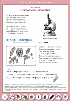 Катя и Эф борются с невидимыми микробами