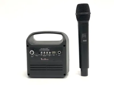 Уходим в глухую оборону, или На удаленку с микрофоном Ritmix RDM-125 Black  / Hi-Fi и цифровой звук / iXBT Live