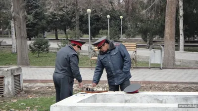 В Белоруссии женщину задержали за призывы к насилию над милиционерами - РИА  Новости, 