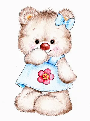 Картинки с мишками | Osos de peluche, Tatty teddy, Ilustración divertida