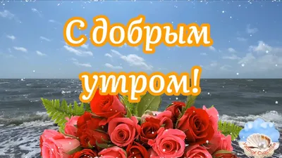 🌹С Добрым Утром! 🌹Желаю Море Счастья! Сергей Чекалин! Музыкальная  Открытка Пожелание! - YouTube