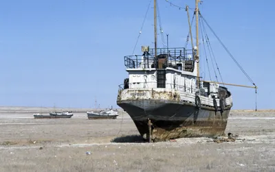 Картина маслом "В тиши спокойствия лодка отдыхала..." Серия "Корабли и море"  100x100 LG180611 купить в Москве