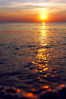Восход солнца над пляжем восход солнца над морем | Премиум Фото