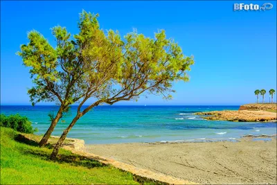 🇪🇸 ☀️ Фото Испании, летний пейзаж с морем и пляжем на фотообои большого  размера