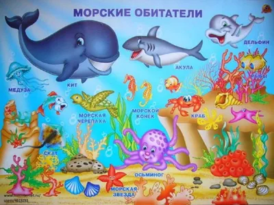 Морские обитатели»викторина - Культурный мир Башкортостана