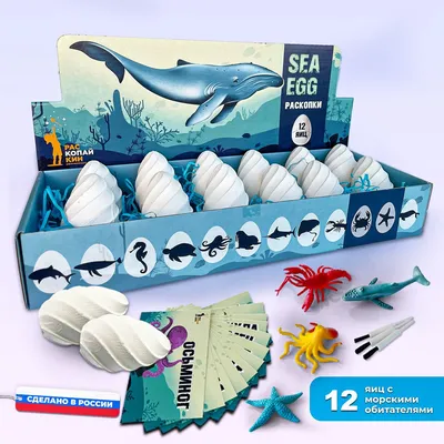 Большой набор для раскопок и опытов для детей и подростков, яйца с морскими  обитателями, 12 яиц "Sea Egg",развивающая игра для детей - купить с  доставкой по выгодным ценам в интернет-магазине OZON (552418206)