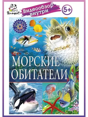 Конспект занятия по лепке на самоизоляции детей и родителей «Морские  обитатели» возраст данного занятия от 5 до 6 лет (5 фото). Воспитателям  детских садов, школьным учителям и педагогам - Маам.ру