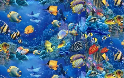Морской фон с рыбами - 64 фото