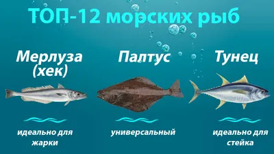 Мультяшные рыбки и морские зверушки | Цветные рыбы, Произведения искусства  с рыбами, Детские рисунки