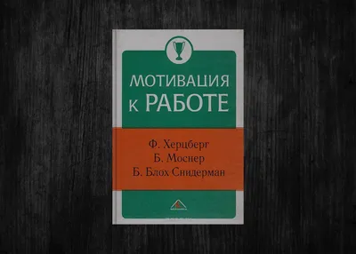 Книга Мотивация и организация эффективной работы (теория и практика)