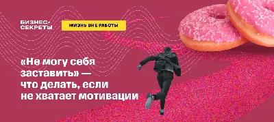 МПФ Компаньон - Тренировки, работа, мотивация - будни спортивной собаки!