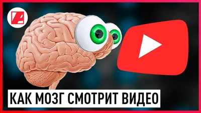 Как мозг принимает решения