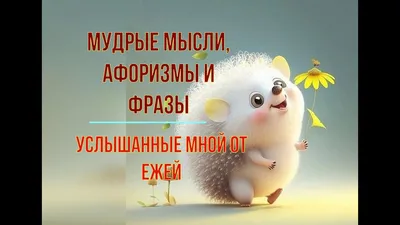 Татьяна. Мудрые фразы, мысли и афоризмы, подслушанные у ежей - YouTube