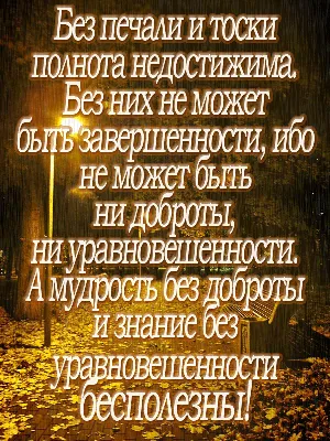 Мудрые мысли о счастье | Quotes, Aphorisms, Wisdom