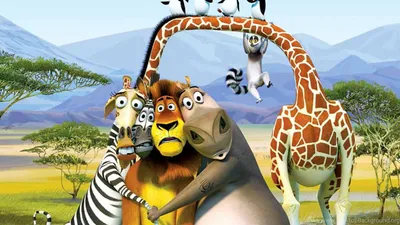 Как в "Мадагаскаре": слон и жираф сбежали со съемок фильма задрав хвосты -   | 