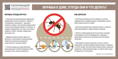 Средство DELICIA для борьбы с муравьями 125г на Лесоторговой в Орле по  цене: 600 руб.