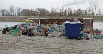 Волгоград зарастает горами мусора, люди жалуются на полное отсутствие  мусоровозов -  - 