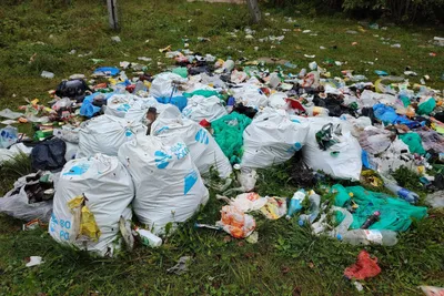Полезный мусор: Нижний Новгород переходит на раздельный сбор отходов