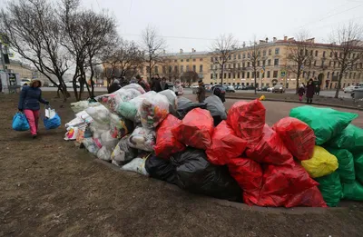 Проблема сортировки и раздельного сбора мусора в России