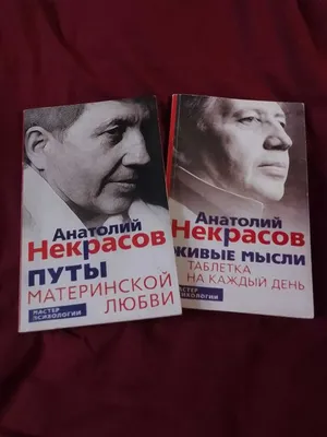 Купить «МЫСЛИ О ЛЮБВИ», каталог «Букеты с тюльпанами» в Королёве - «Ameli»  - Интернет магазин цветов в Королеве.