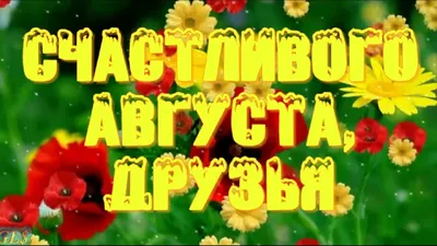 Всеx с началом августа. Акции, анонсы, новости.