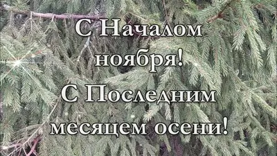 30 ноября — 103-я годовщина со Дня образования штаба ОВД и секретариата  (подразделений защиты государственных секретов и документационного  обеспечения) ОВД | Витебское областное управление Департамента охраны МВД  Республики беларусь