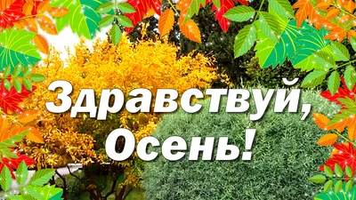 С первым днём осени! С Днём знаний! С началом учебного года! - НовДента